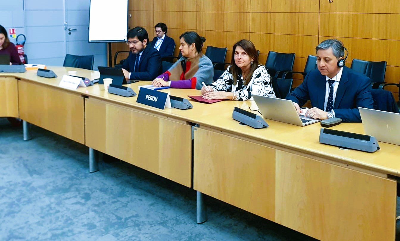Perú presentó su evaluación ante el Comité de Gobernanza Pública - Imagen 1