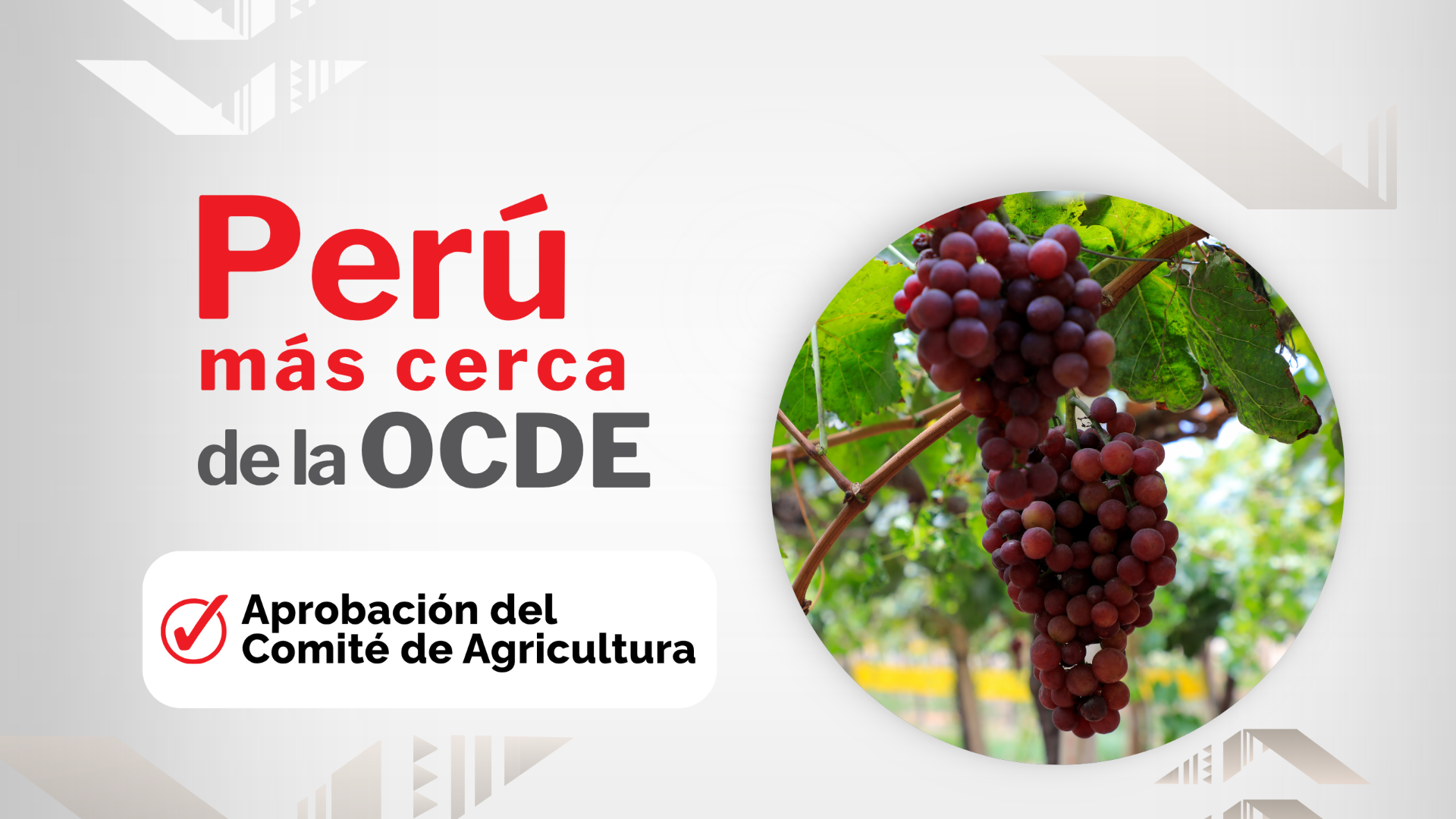 Perú más cerca de la OCDE: Agricultura sostenible y competitiva