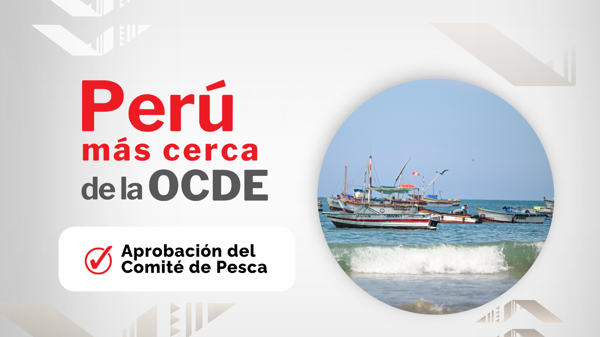 Perú más cerca de la OCDE: Avances históricos en pesca y acuicultura