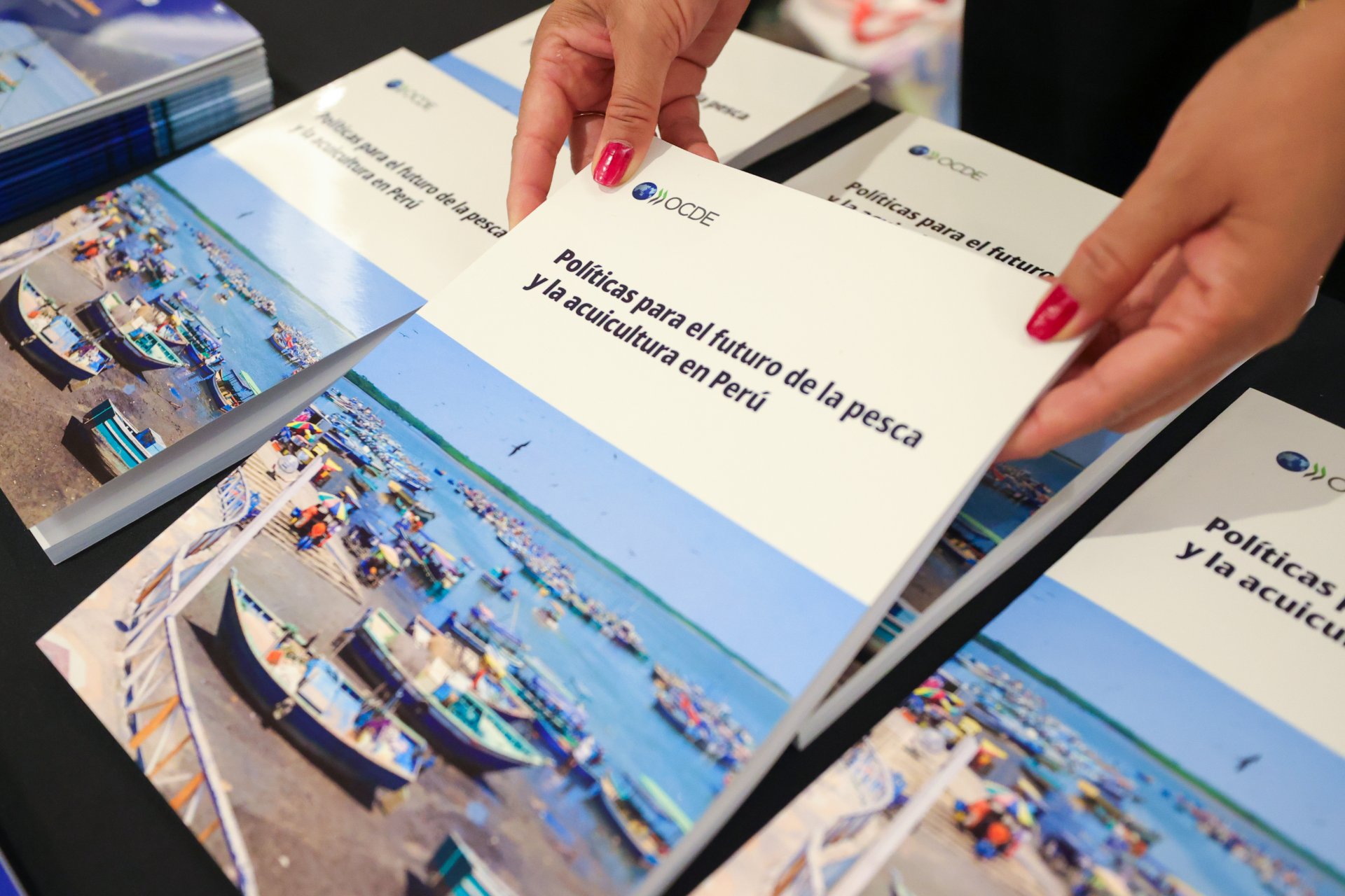 Presentación del informe “Políticas para el futuro de la pesca y la acuicultura en el Perú” - Imagen 4